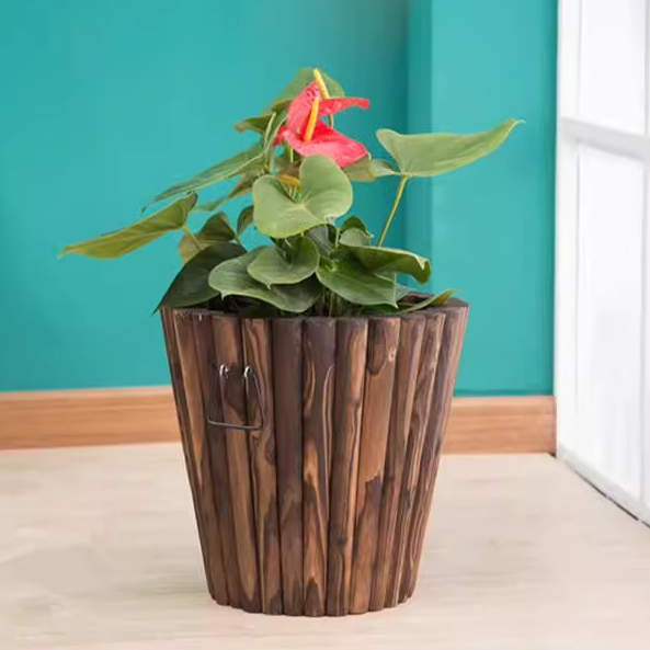 碳化防腐木制花桶箱绿萝阳台种花种菜绿植花盆花卉实木桶多肉花盆,鲜花速递/花卉仿真/绿植园艺,花盆,淘宝优惠券,粉丝福利购,淘宝优惠卷