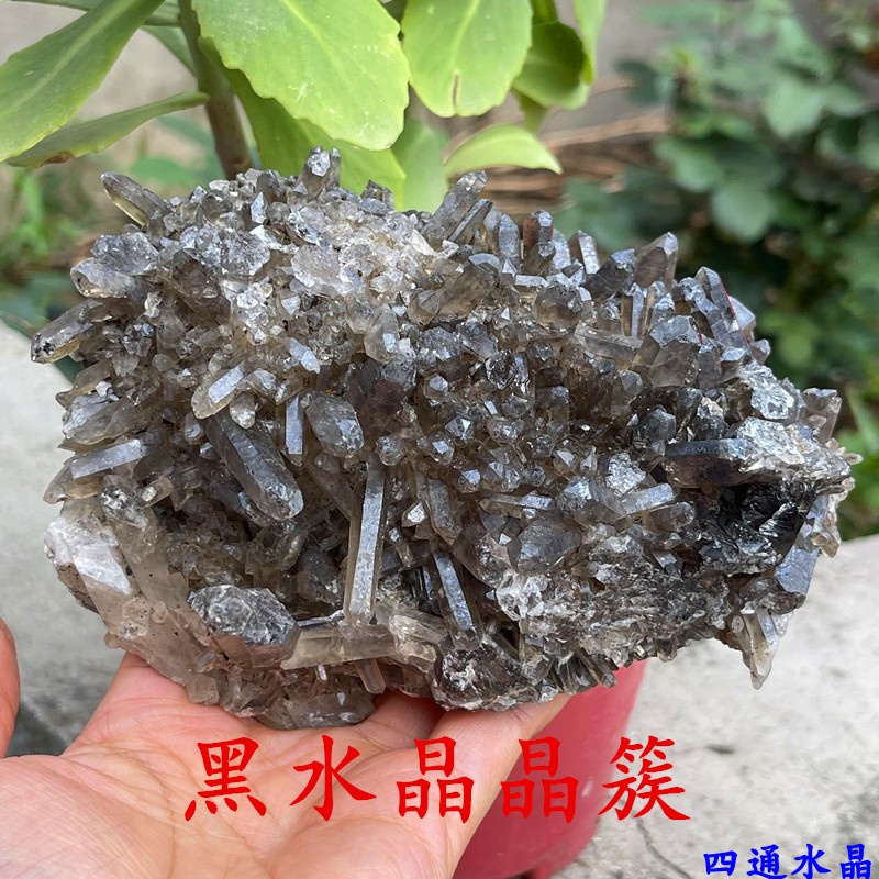 天然黑水晶茶水晶簇摆件矿物标本