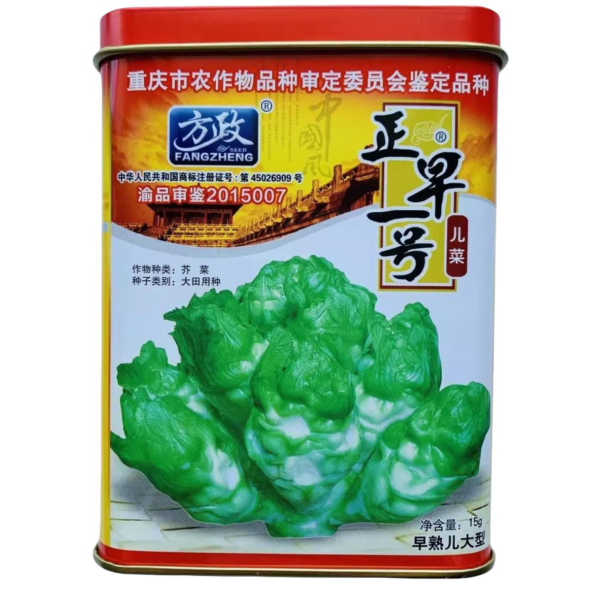 正早一号儿菜种子秋季四川早熟娃儿菜种重庆娃娃菜芥菜抱儿菜种籽