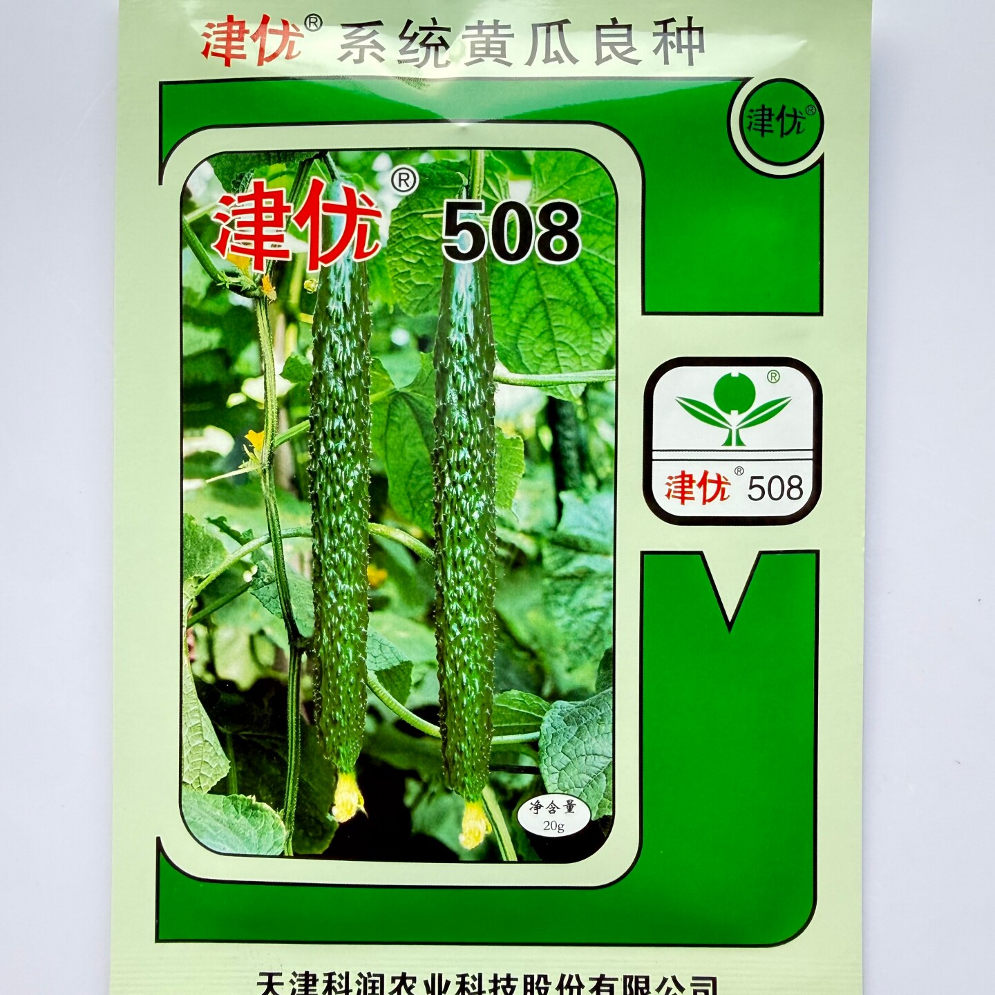 津优508黄瓜种子籽耐热耐低温早熟抗病油亮黄瓜新品种大田春夏秋