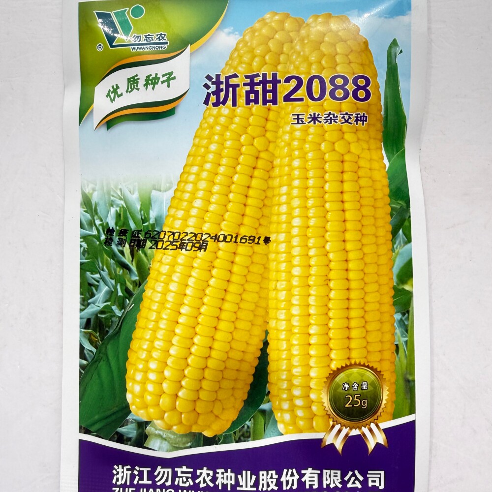 水果玉米种籽 农家高产春秋播大田杂交浙甜2088鲜食甜玉米种子孑
