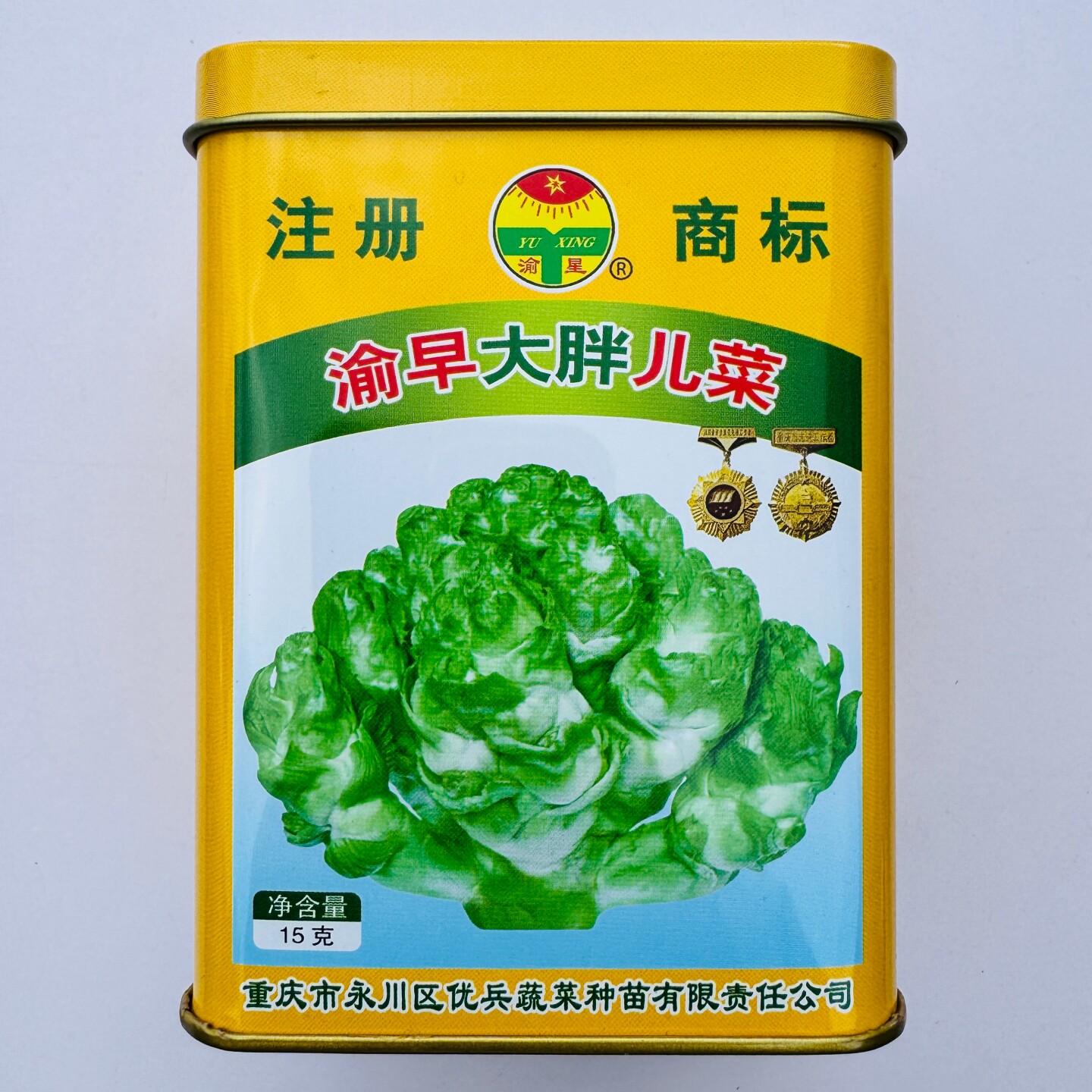 渝早大胖儿菜种子早熟口感脆嫩凉拌煮汤腌菜泡菜用芥菜种籽秋季播