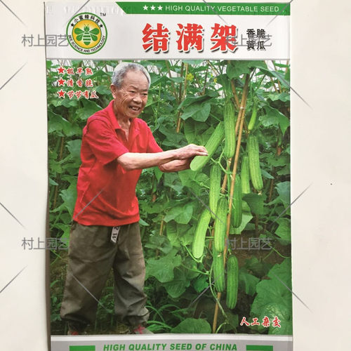 春秋播早熟黄瓜种子结满架黄瓜种子燕白型黄瓜种子10克 - 封面
