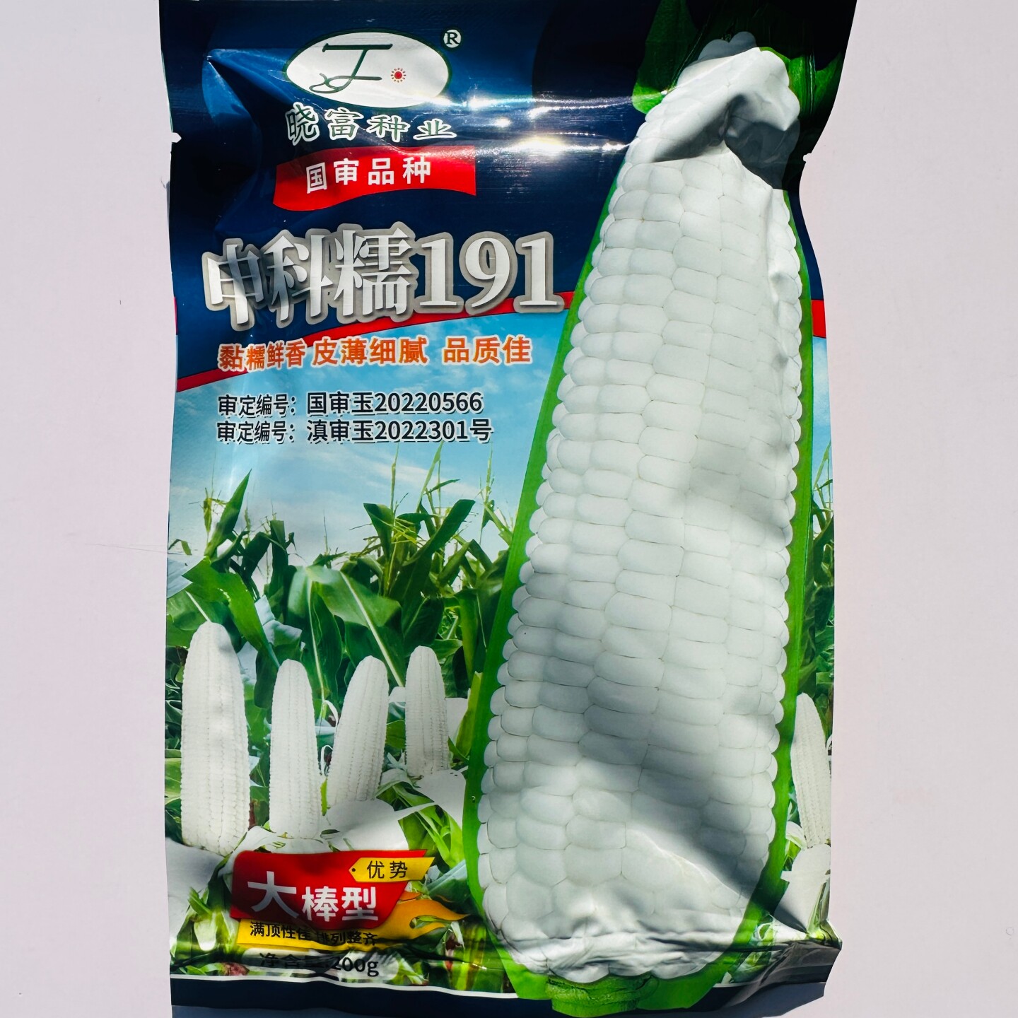 晓富申科糯191白糯玉米种子粘糯鲜香大棒薄皮玉米种籽农家春季播