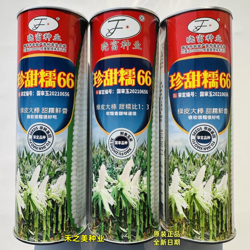 晓富密甜糯2号四大区国审稳定性强适应性广口感型白甜糯蔬菜种子