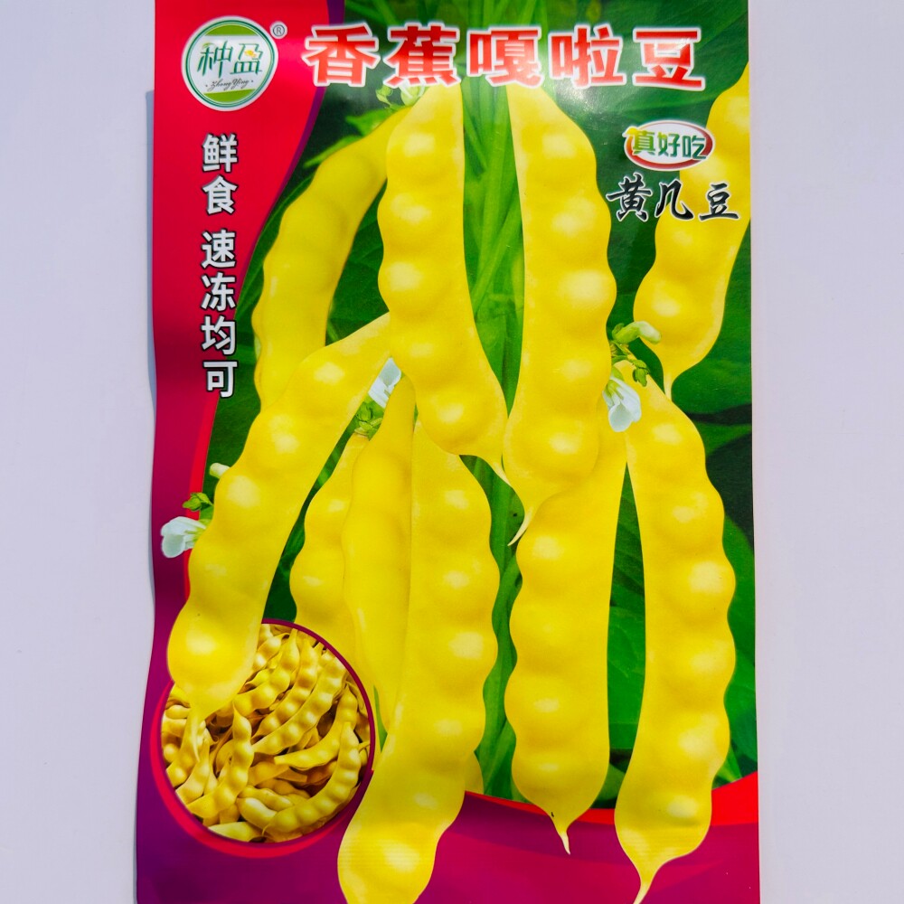 种盈香蕉嘎啦豆种子肉厚无纤维口感好菜豆种籽农家小菜园春季播种
