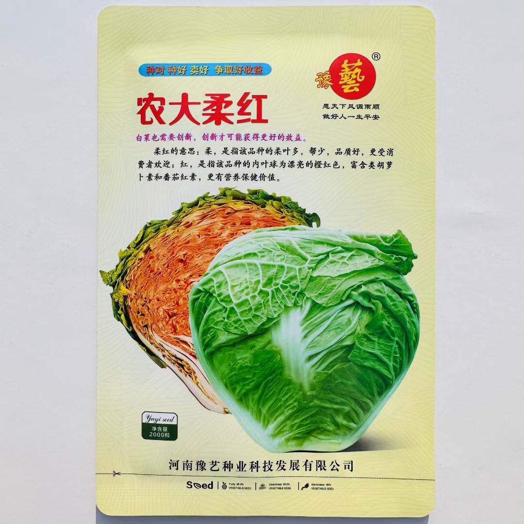 农大柔红橙红心白菜种籽抗病早熟口感好大白菜种子秋季播蔬菜种孑