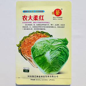 农大柔红橙红心白菜种籽抗病早熟口感好大白菜种子秋季播蔬菜种孑