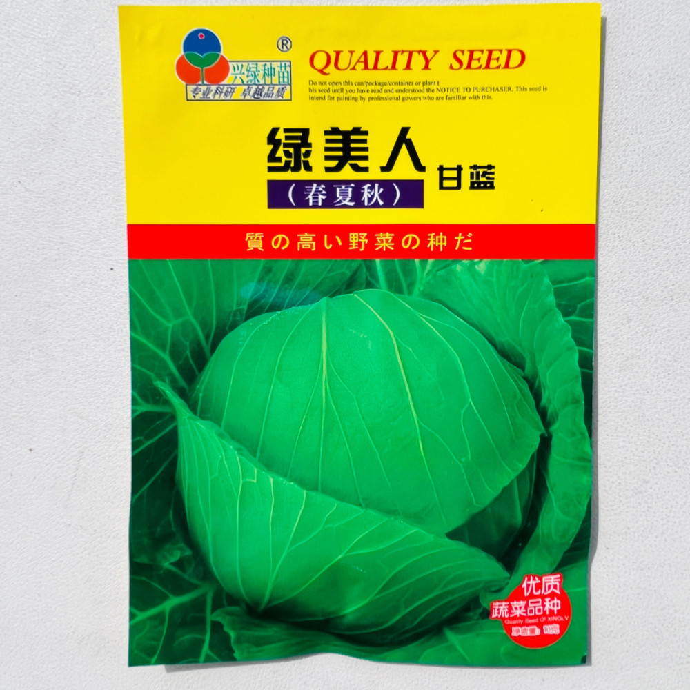 绿美人春夏秋甘蓝种子抗病耐热耐裂扁圆球卷心菜包菜种籽早熟高产