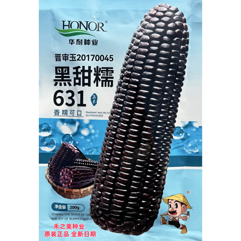 黑甜糯631糯玉米种子矮杆大棒高产抗病超甜鲜食杂交大田四季种籽