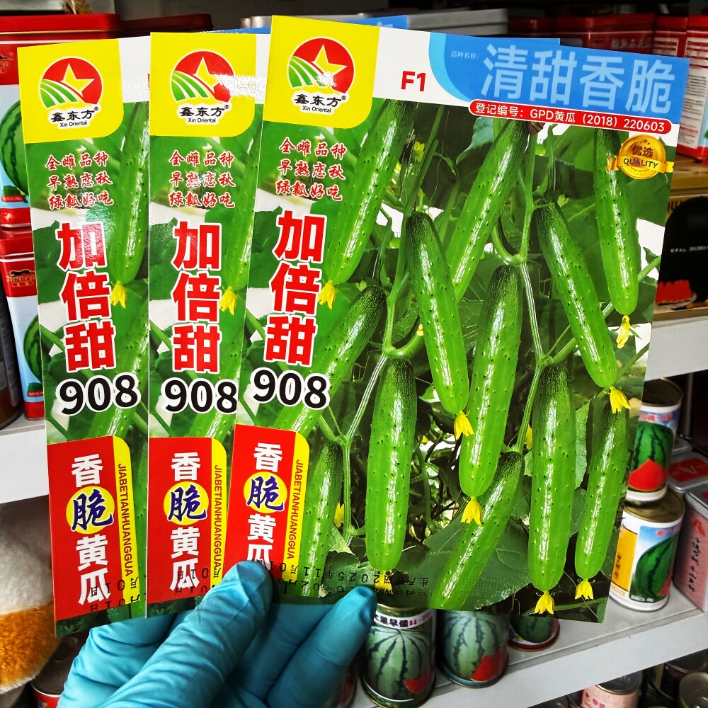 加倍甜908黄瓜种子早熟高产抗病耐热耐寒农家菜园庭院种植蔬菜籽