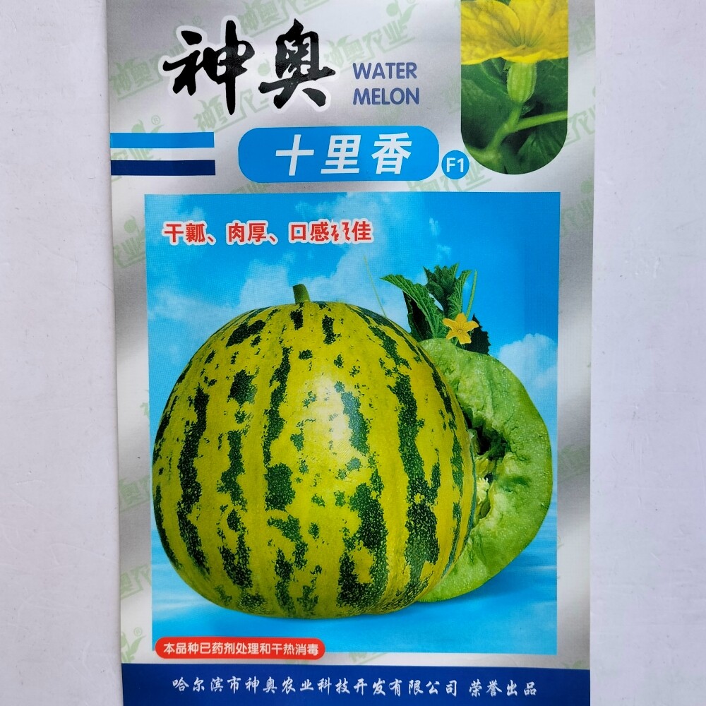 神奥十里香花皮甜瓜种子八里香换代品种抗病高糖杂交香瓜种籽种孑