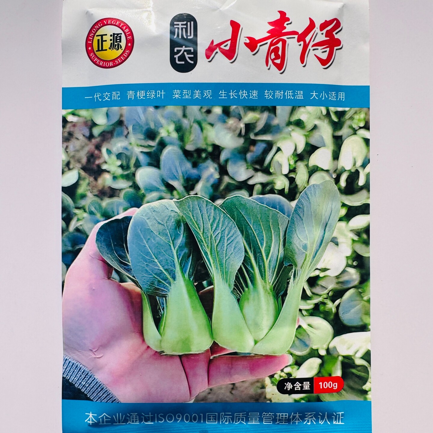 正源利农小青仔青梗菜种子深绿油亮耐低温青梗小白菜种籽秋冬季播