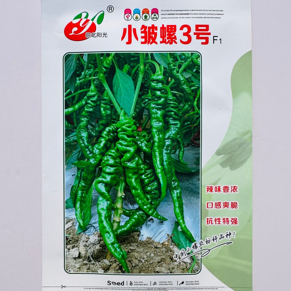 小皱螺3号螺丝椒种子抗病杂交早熟口感爽脆辣椒种籽农家春秋季播