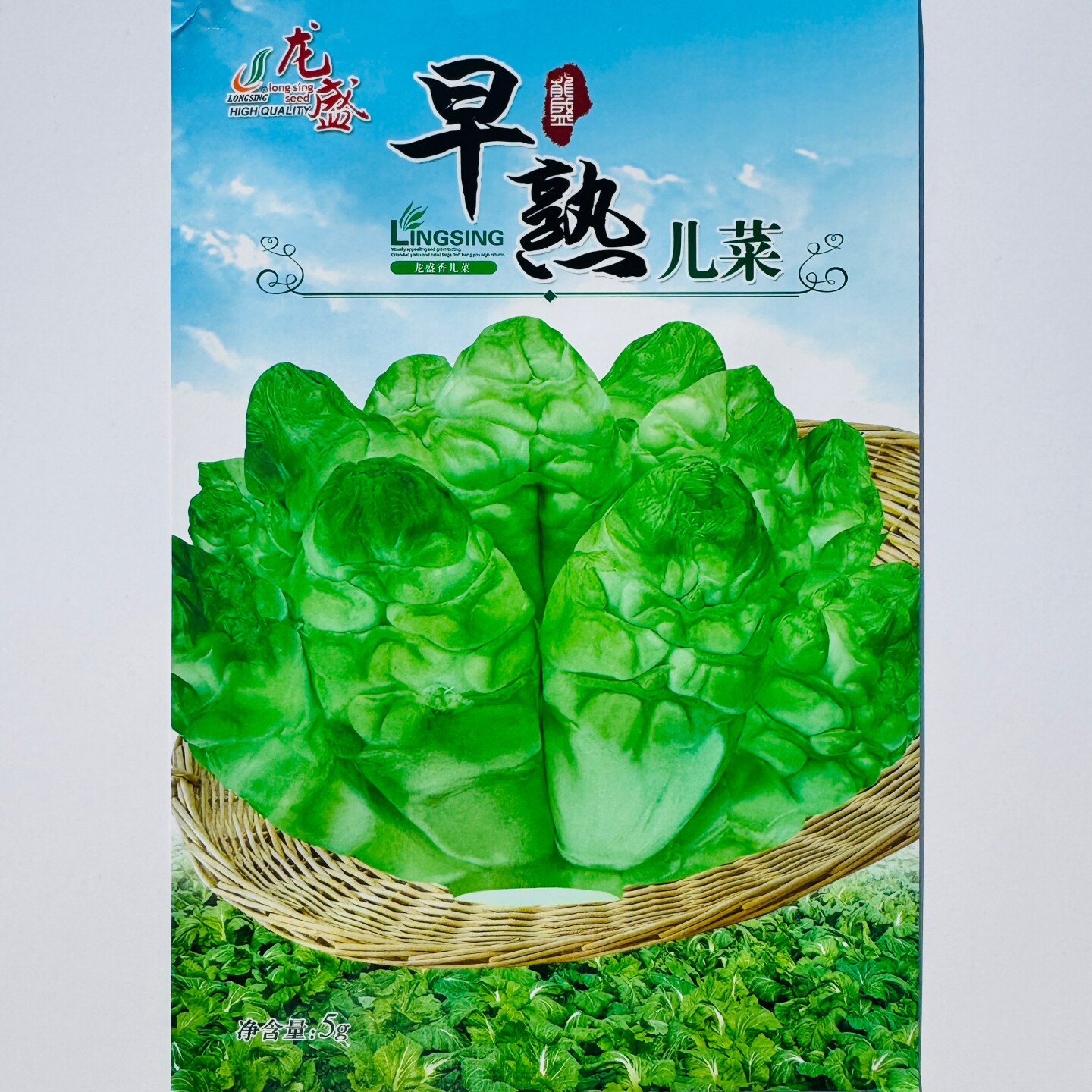 龙盛早熟儿菜种子清香脆嫩细腻多汁芥菜抱儿菜种籽农家秋季播种孑