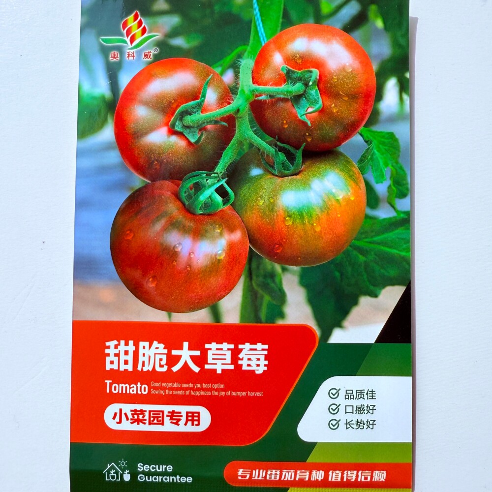 奥科威甜脆大草莓番茄种子早熟口感酸甜汁多味美水果西红柿种籽孑