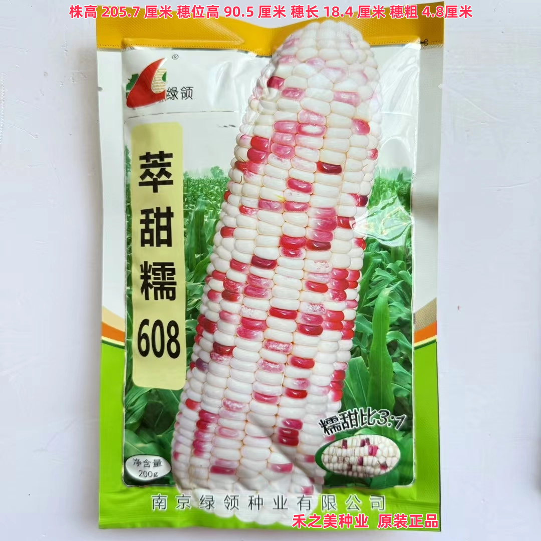 绿领萃甜糯608彩甜糯玉米种籽大棒型彩色甜糯玉米春秋大田四季播