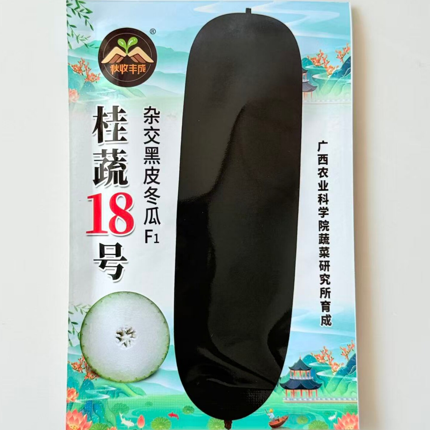 桂蔬18号杂交黑皮冬瓜种子肉质致密中晚熟墨绿色大冬瓜种籽春秋播