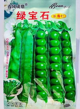 绿宝石长寿仁豌豆种子抗白粉病翠绿美味山地大粒豌豆种籽春秋季播