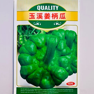 玉溪姜柄瓜种子高产中早熟耐寒耐旱姜饼瓜种籽农家春秋播蔬菜种孑