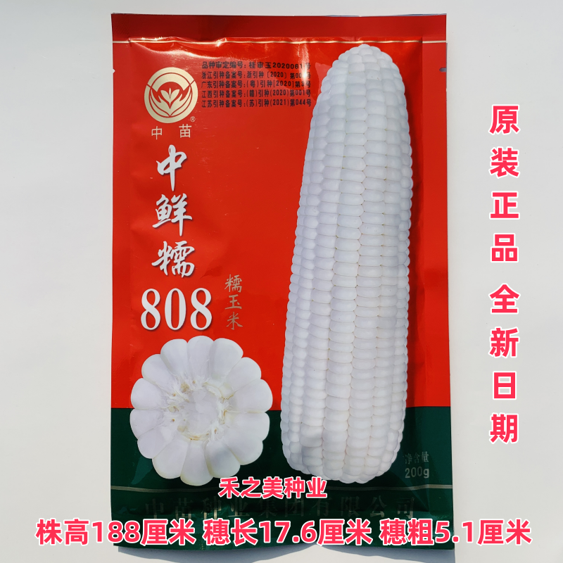 中苗中鲜糯808玉米种子白糯玉米春秋季播高产鲜食糯玉米粘玉米籽