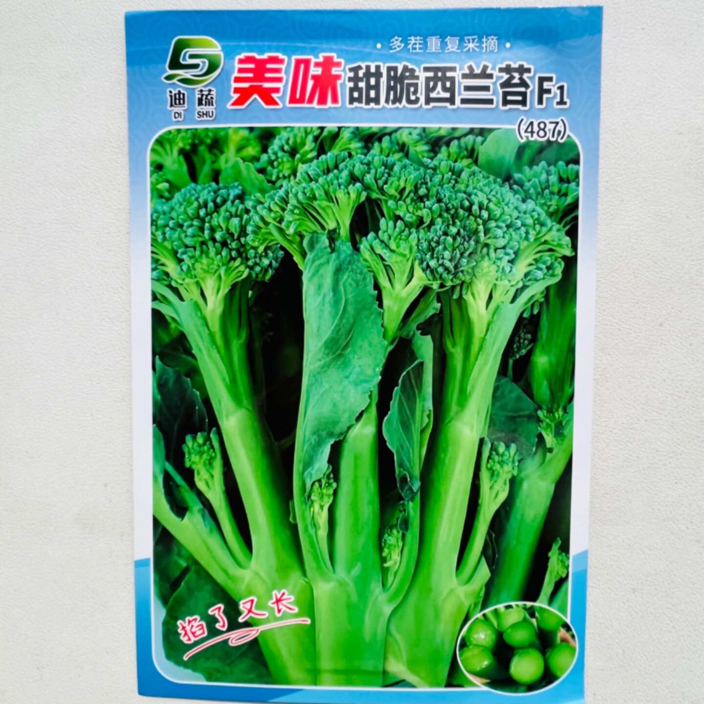 美味甜脆西兰苔种子分枝多肉质脆嫩口感好西兰花种籽农家春秋季播