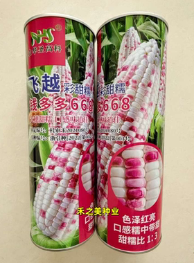 飞越彩甜糯玉米种子 钱多多668玉米种籽高产大田春季花彩玉米种子