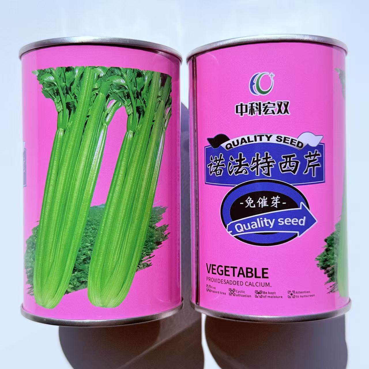 诺法特西芹种子抗病高产脆嫩纤维少芹菜种籽农家春秋季播蔬菜种孑