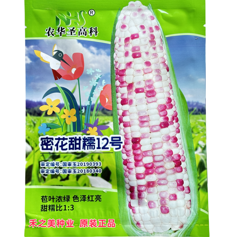 密花甜糯12号彩甜糯玉米种子花糯苞米皮薄四季高产大棒粘玉米种孑