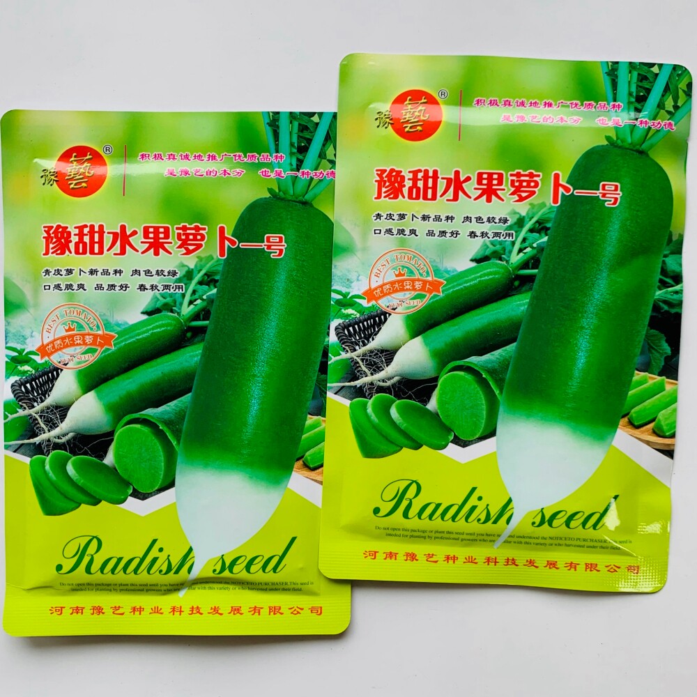 豫艺豫甜水果一号水果萝卜种子肉质细嫩青皮青肉萝卜种籽春秋季播