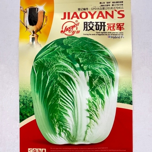 山东胶州大白菜种子胶研冠军高产抗病优质秋播冬贮黄心白菜种籽孑
