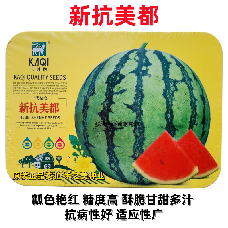 新抗美都西瓜种子新品种杂交一代圆形西瓜种籽瓤色艳红酥脆糖度高