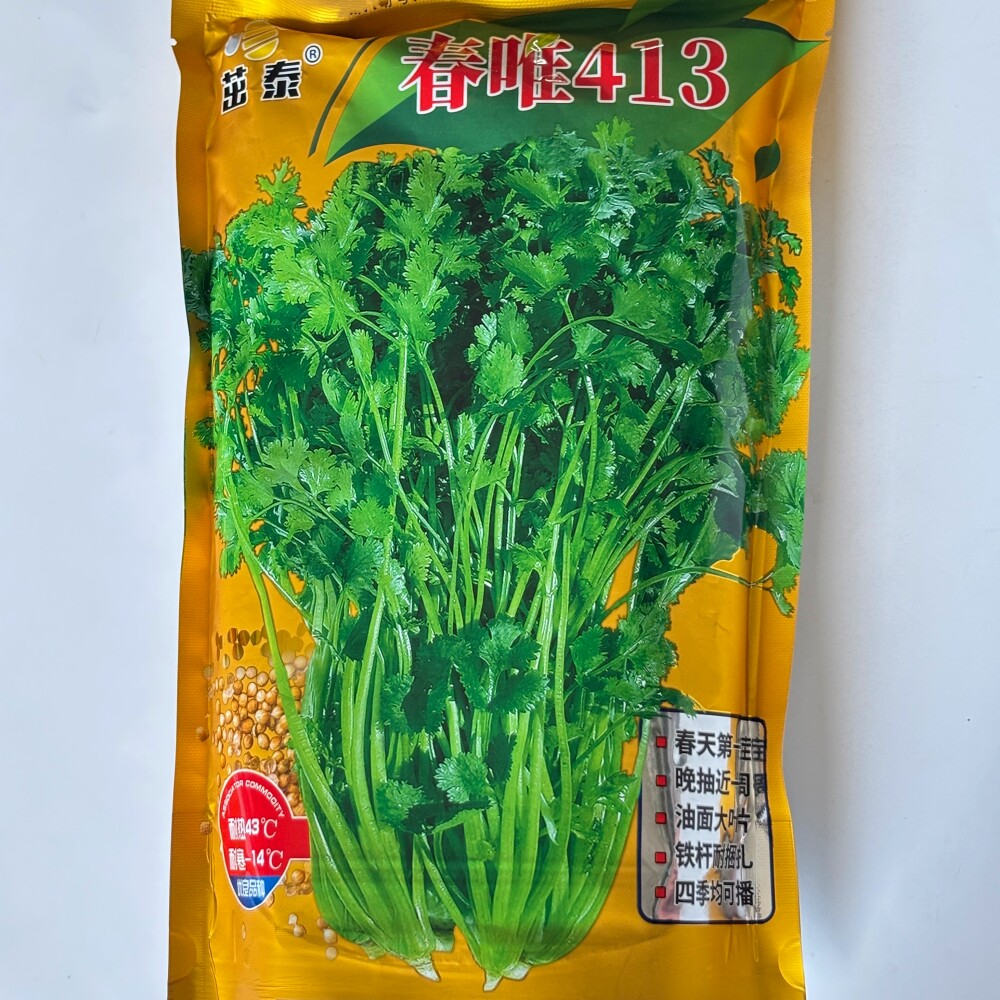 春唯413铁杆香菜种子耐高温耐抽苔耐寒油面大叶片芫荽种籽四季播