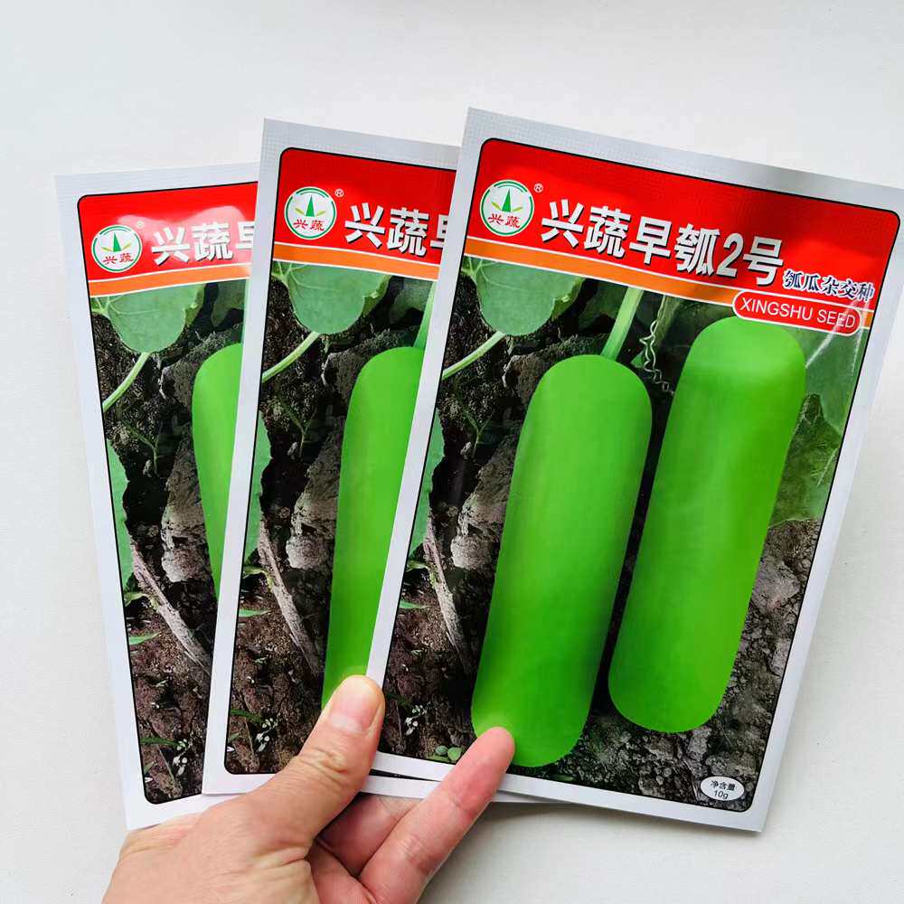 兴蔬早瓠瓜种子清香短瓠蒲瓜种籽短棒农家四季葫芦瓜瓠水瓜蔬菜孑