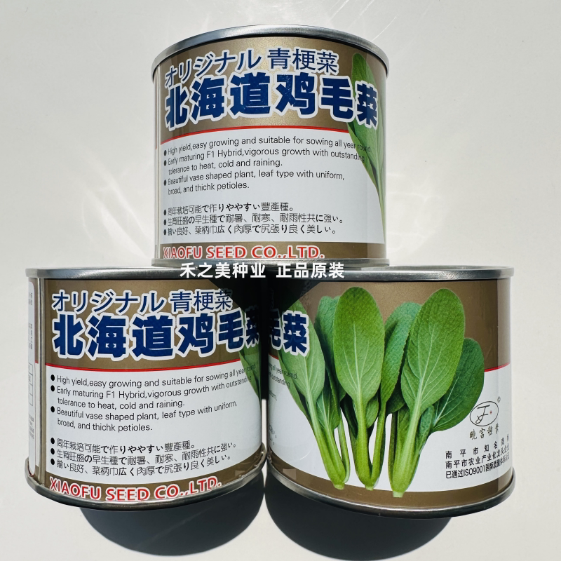 北海道鸡毛菜种子速生小青菜特耐热耐雨耐储运抗病丰产四季播种