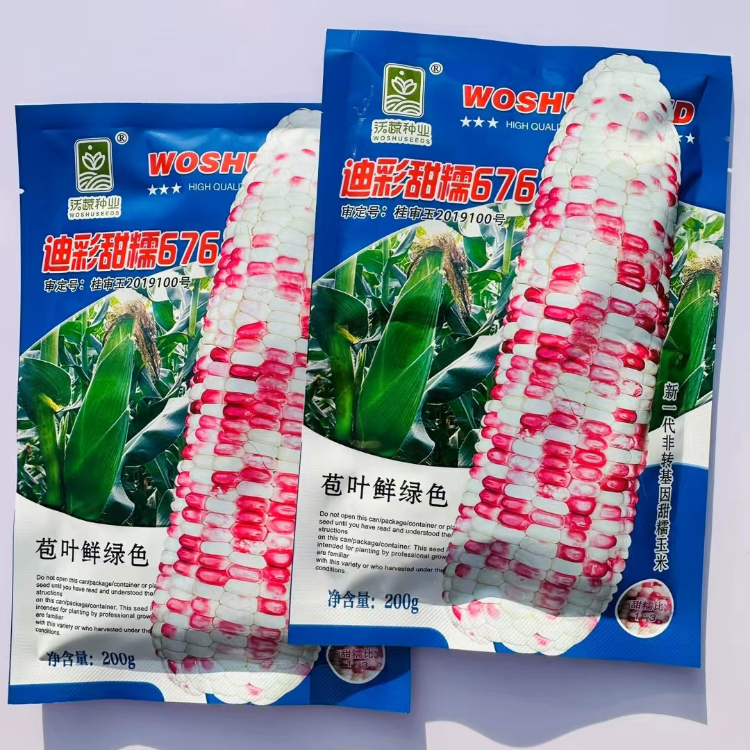 沃蔬迪彩甜糯676珍彩甜糯608非转基因粘黏花彩甜糯玉米种子/200g