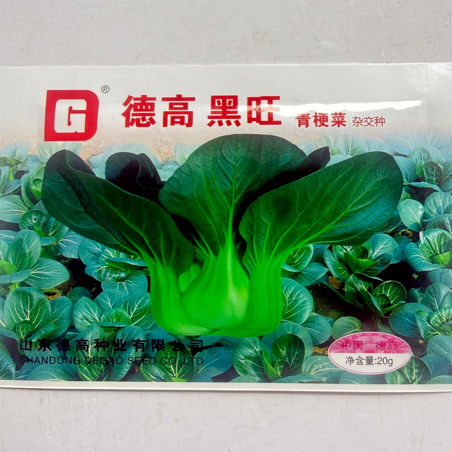德高黑旺青梗菜种子高产抗病耐热耐寒农家菜园家庭种植蔬菜种籽子