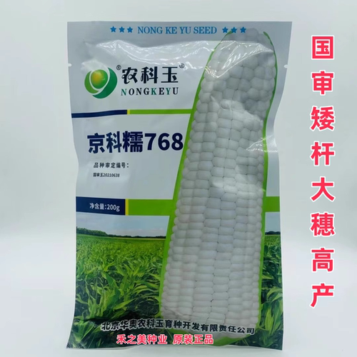 农科玉京科糯768甜糯玉米种子非转基因香甜糯玉米春秋季玉米种孑
