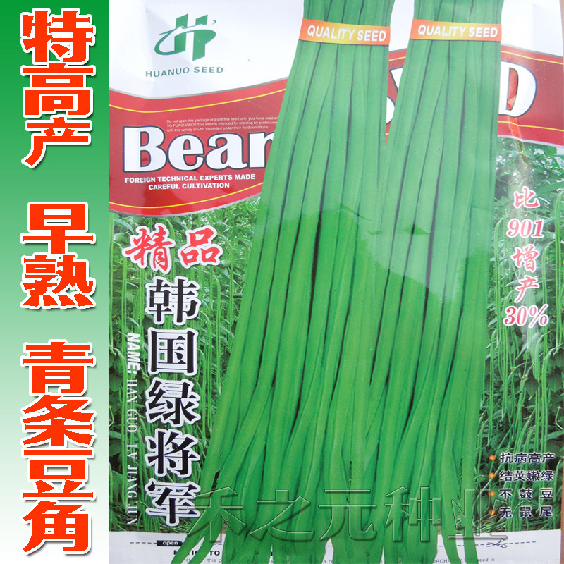 春秋绿将军青条豆角种子豇豆种籽蔬菜基地种植春季夏秋季四季农家