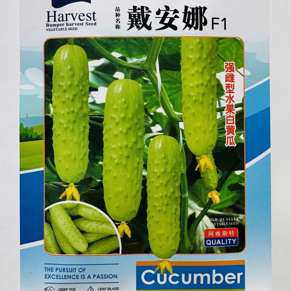 戴安娜白黄瓜种子强雌型水果黄瓜种籽高产早熟大棚露地春夏秋季播