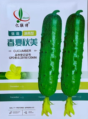 亿联特春夏秋美强雌油亮黄瓜种子抗病杂交短棒黄瓜种籽春秋季播种
