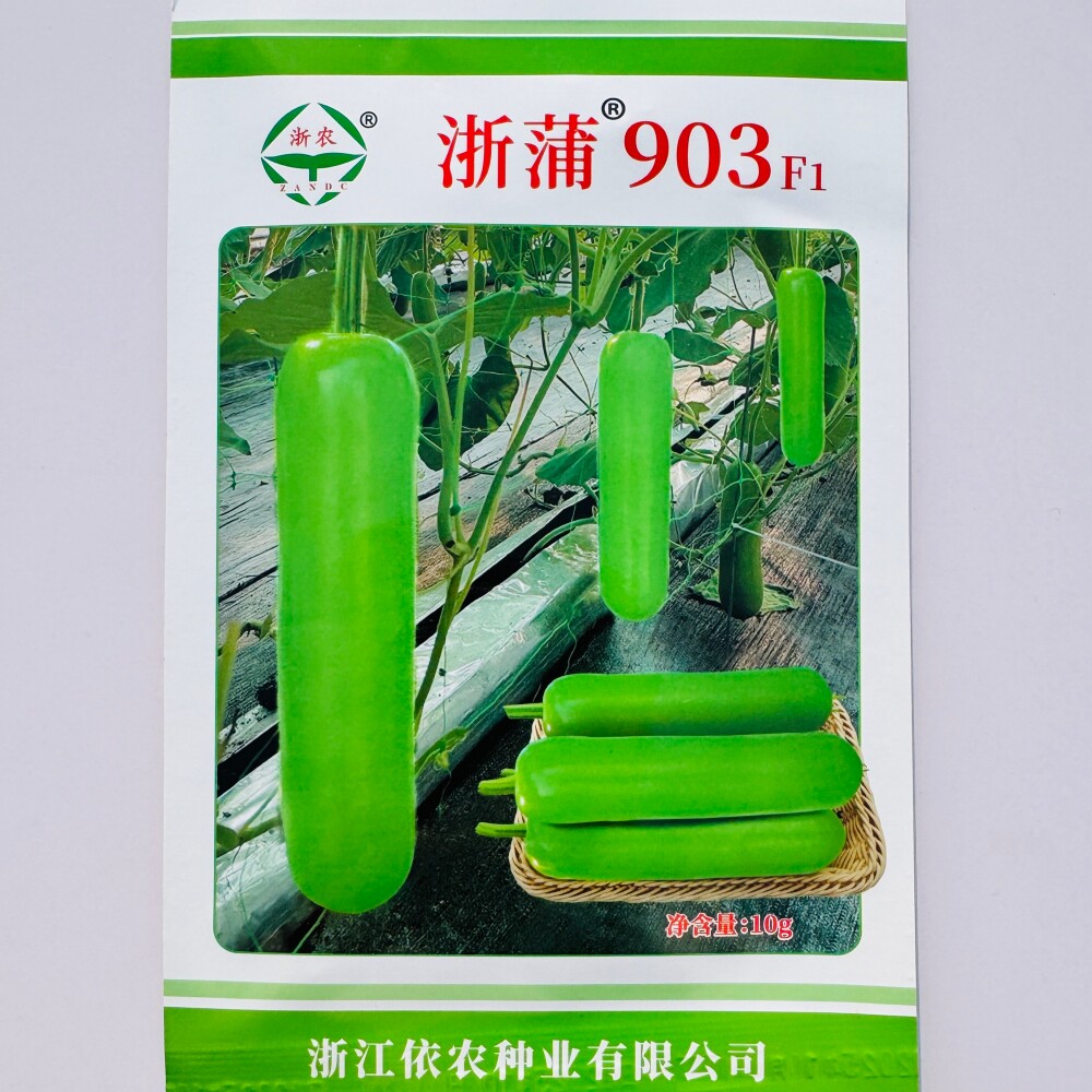 浙农浙蒲903瓠子种子籽瓜皮绿色光泽度好中棒形粗细均匀一致高产