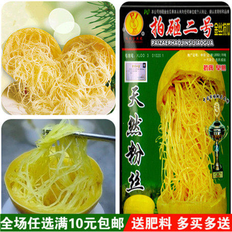 绞丝金丝瓜种子 搅绞瓜种子角瓜种子 抗病早熟 天然粉丝味同海蜇