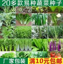 蔬菜种子水果草莓西红柿黄秋葵韭菜茄子丝瓜空心菜黄瓜辣椒菜籽
