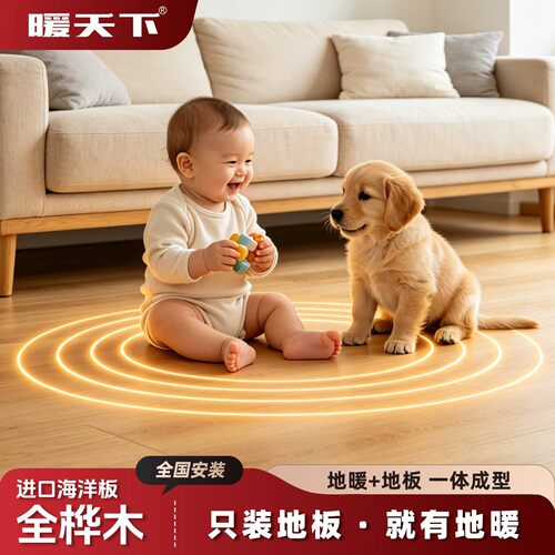 暖天下地暖全屋发热木地板