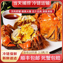 长荡湖大闸蟹精挑特大大闸蟹鲜活螃蟹2.5两全母蟹长荡湖礼盒水产