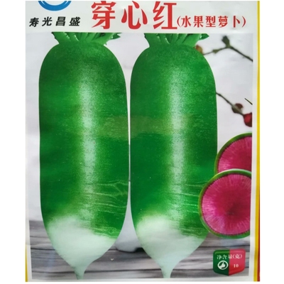 穿心水果青萝卜种子脆甜秋播蔬菜