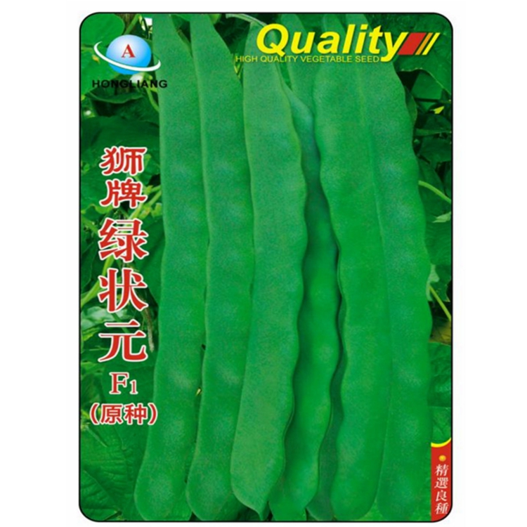 绿丰状元芸豆种子早熟高产