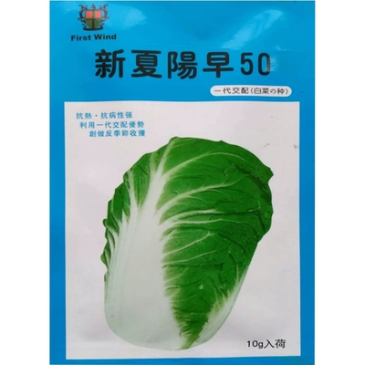 大白菜种子蔬菜种子白菜