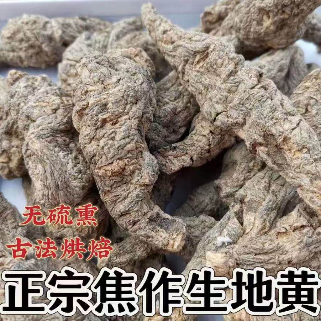 正宗河南焦作生地黄个子